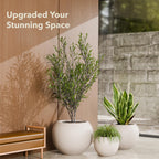 Globo Planter