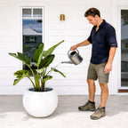 Globo Planter