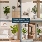 Arco Planter