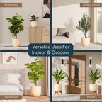 Arco Planter