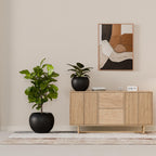Globo Planter
