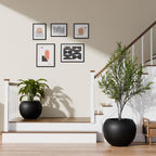 Globo Planter