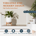 Arco Plant Stand