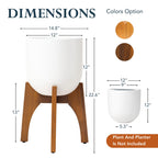 Arco Plant Stand