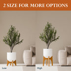 Arco Plant Stand