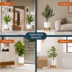Arco Plant Stand