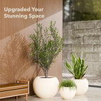 Globo Planter
