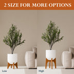 Arco Plant Stand