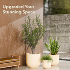 Arco Planter