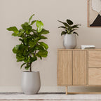 Corso Planter