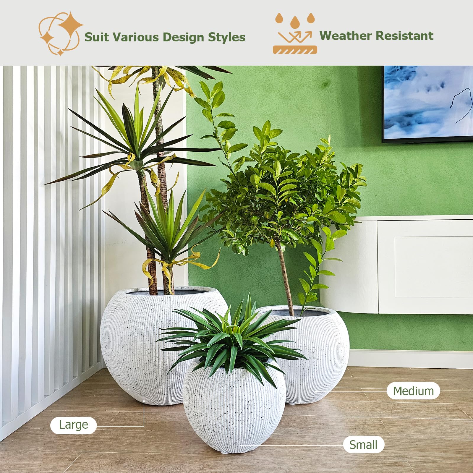 Globo Planter