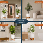 Arco Plant Stand