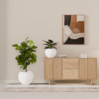 Globo Planter