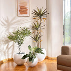 Globo Planter