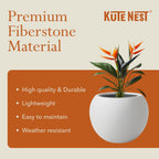 Globo Planter