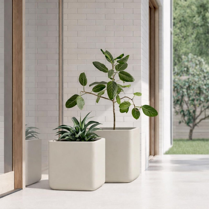 Cubo Planter hover