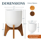 Arco Plant Stand