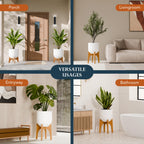 Arco Plant Stand