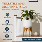 Arco Plant Stand