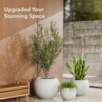 Globo Planter
