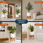 Arco Plant Stand