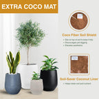 Corso Planter
