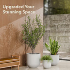Arco Planter