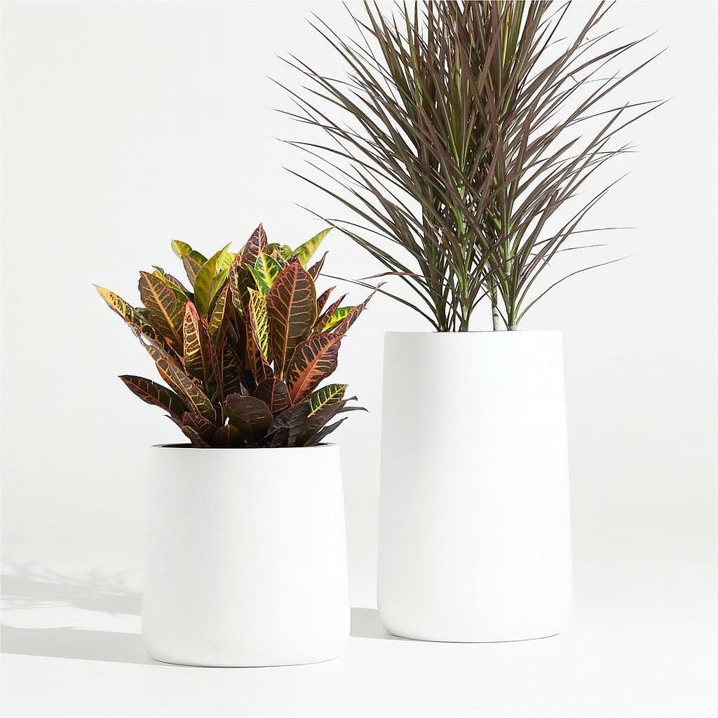 Tall Conico Planter