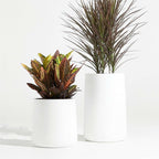Tall Conico Planter