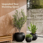Globo Planter