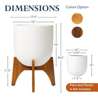 Arco Plant Stand