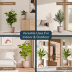 Arco Planter