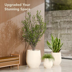 Corso Planter